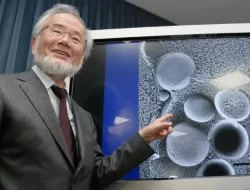 Profil Yoshinori Ohsumi, Peneliti Jepun yang dimaksud Mendapat Nobel pasca Meneliti Manfaat Puasa