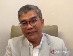 Ekonom: Percepatan suplai Ketahanan Pangan Sumatera Kunci tekan gejolak harga