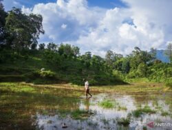 Melipat jarak distribusi pupuk – Pintu Informasi News