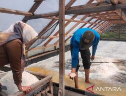 Muhammadiyah-KKP kerja sama kembangkan usaha garam Area pesisir
