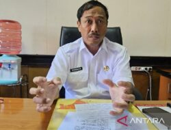 Bappenda Papua catat penerimaan Rp5,1 miliar Bersama insentif Pph